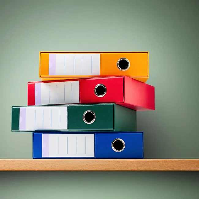 A neatly organized binder with labeled dividers
