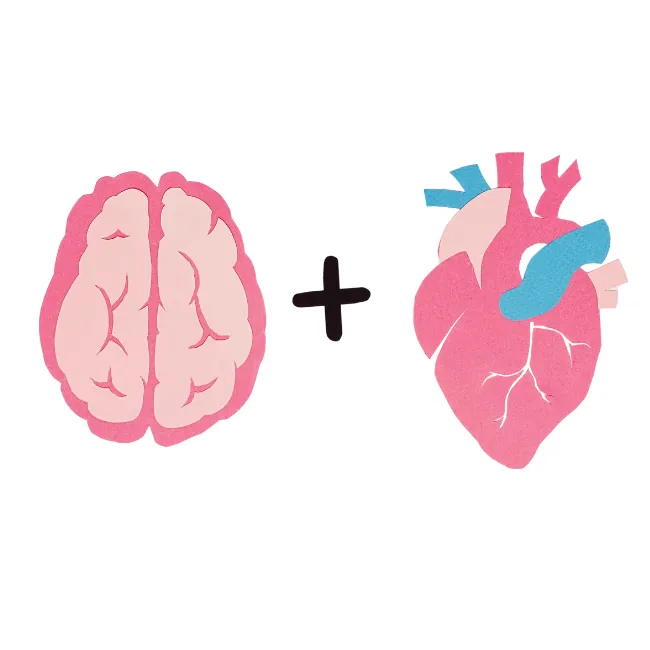Brain Vs Heart