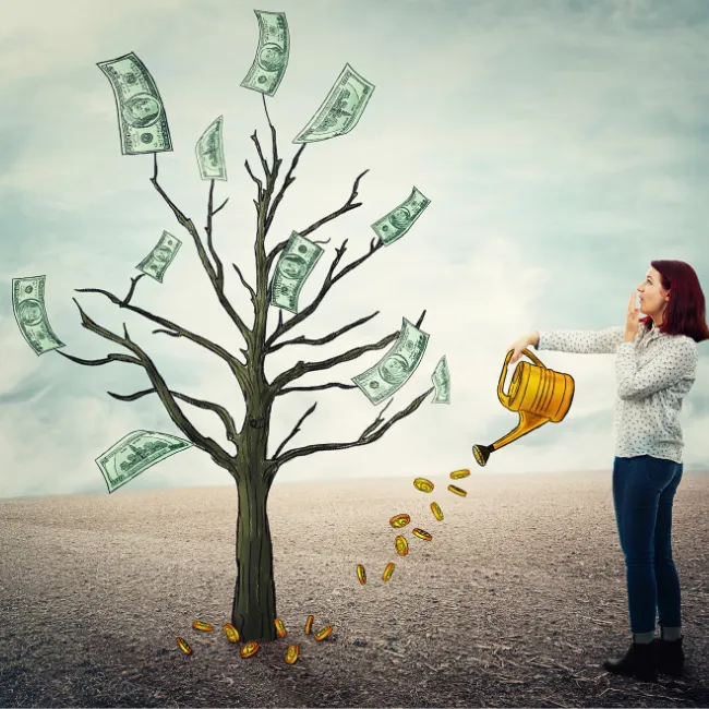 Monitor income 
