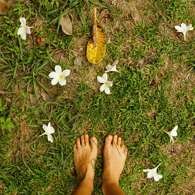 Scarcity to Abundance 